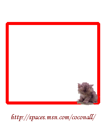 Cat.gif image by coconall