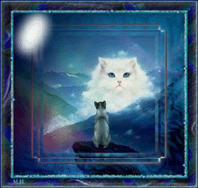 fantasy_cat.gif image by shadowcatson