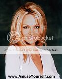 pamela anderson xxx video